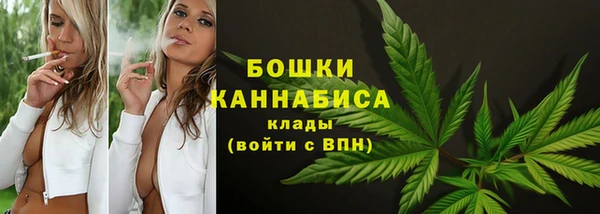 ECSTASY Заводоуковск