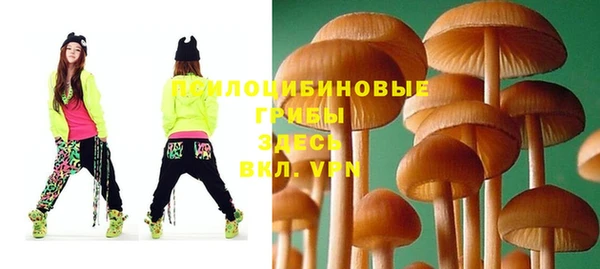 МДМА Заволжск