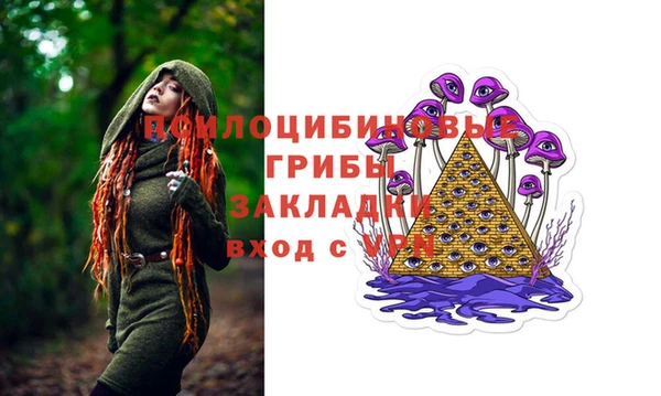 ECSTASY Заводоуковск