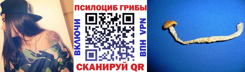 Купить закладки  Менделеевск  Галлюциногенные грибы мухоморы 